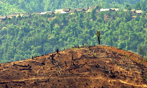 deforestation_in_burma.jpg