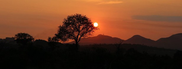 kruger-national-park-south-africa-banner-earth